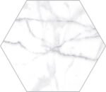 Hex Carrara Gloss