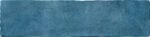 Plank Blue
